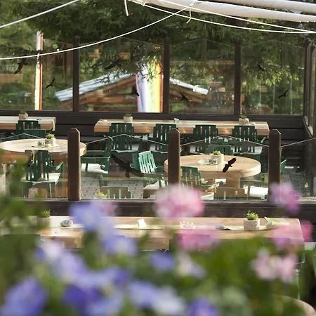 Silvana Mountain Zermatt