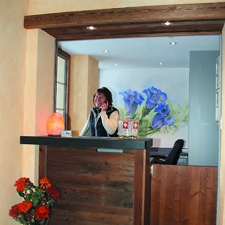 Silvana Mountain Hotell Zermatt